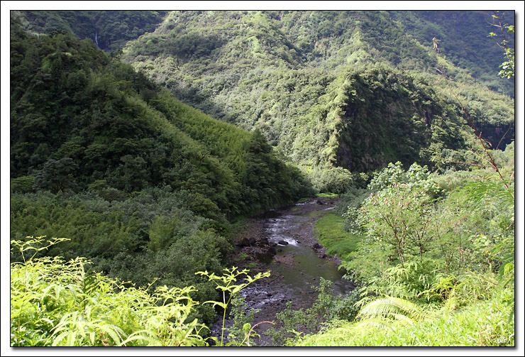 40D11114 cs cadre2.jpg - Tahiti - Vallée de la Papenoo